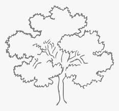 Image result for things inside the house clipart. Living Things Clipart Black And White Hd Png Download Transparent Png Image Pngitem
