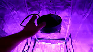 The one in this video is a 300watt but they do sell a. Ufo Led Grow Light Growstar 150w Full Spectrum Plant Light With Cree Cob Youtube