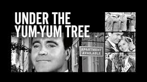 Prime Video: Good Neighbor Sam