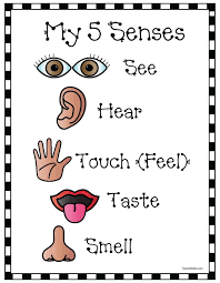 Seasons Senses Activities 5 Senses Activities Senses Activities 5 Senses Craft