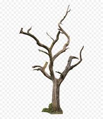 If i'd like to choose my own branch arrangement, i can move this slider. Dying Tree Png Transparent Collections Dry Trees Png Forest Trees Png Free Transparent Png Images Pngaaa Com