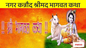 भव्य कलश यात्रा के साथ शुरू हुई श्रीमद्भभागवत कथा, यात्रा में जमकर झूमे  भक्त - Dainik Aawaj