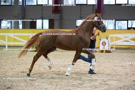 Check spelling or type a new query. 69 Sezuan Sandro Hit Feiner Stern 529 8013 Bjorn Schroeder