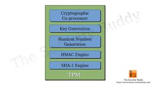 The trusted platform module is disabled by default when shipped to insure that the owner/end customer of the system initializes the tpm and configures all security passwords. What Is The Trusted Platform Module Tpm And How Does It Work The Security Buddy