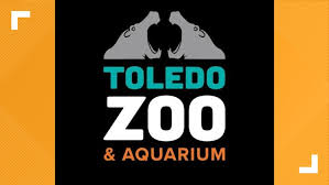 You need to upgrade your flash player. Toledo Zoo S Music Under The Stars Moved To Fall 2020 Wtol Com