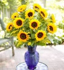 Maybe you would like to learn more about one of these? Lakeland Fl Florist Flower Shop In Lakeland Fl Fast Same Day Service