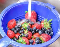 We wash all of our produce, organic or not! Diy Natural Fruit And Veggie Wash Spray Soak 3 Recipes
