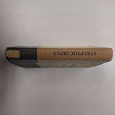 Image result for Streptocarpus hirtinervis