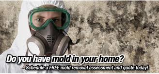 Tile roofs made of clay, slate or concrete need repairs when cracked. Avoid Mold Growth With Proper Bathroom Ventilation Las Vegas Mold Removal