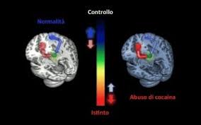 Check spelling or type a new query. E Davvero Segreta La Ricetta Della Coca Cola Focus It