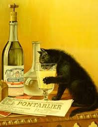 Dryathlon 2014 Resimler Kedi Desenler