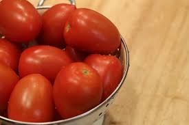 Why do my garden tomatoes split. Expert Tips For Growing Tomatoes The Prairie Homestead
