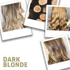 Mac hue is another one of those classics for pale skin. 17 Dark Blonde Hair Ideas Formulas Wella Professionals
