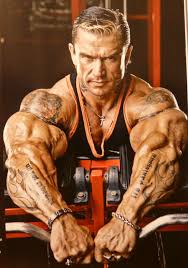 lee priest workout routine fitness