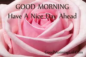 By the way, we have also shared good morning sunshine images before, you can see it if you want. 30 Good Morning Rose Images Photo For Whatsapp Facebook Pinterest