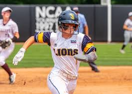 Image result for Sorindeia winkleri