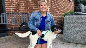 Pet adoption center in nashville, tn | currently appointment only for approved applicants only! Kfmrjpflidabam