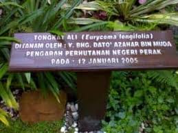 Sertai peraduan kenali herba dan dapatkan hadiah menarik untuk dimenangi sambil meluaskan pengetahuan anda tentang herba. 10 Tempat Menarik Di Batu Gajah Listikel Com