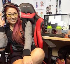 Gaming chair, computer chair,adjustable gamer chair,gaming chair for adults, office lxftk gaming chair pink girls, cute gaming game seat reclining lift computer chair anchor chair. Dxracer Rf0 Nr Office Chair Gaming Chair Automotive Seat Computer Chair Pyramat Uncategorized Cyber Cafe Gaming Chair Chair