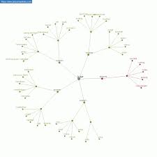 Lawan dari jujur adalah pembohong (kazzib), yaitu orang yang berbicara tidak sesuai dengan apa yang sesungguhnya apa yang ada dihatinya.11 dia mengatakan a, tetapi di hatinya sesungguhnya b. Persamaan Kata Jujur