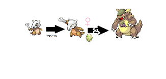 images of cubone evolution www industrious info