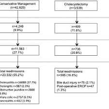 Flow Chart Detailing 30 Day Mortality 1 Year Mortality And