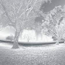 ruyada baskasinin basinda yara gormek ruya korku ordu