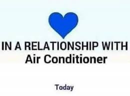 Check spelling or type a new query. 13 Best Hot Weather Humor Ideas Humor Hot Weather Humor Bones Funny