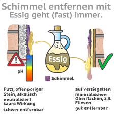 Die fugenränder sollten sie anschließend mit hochprozentigen alkohol einsprühen und einmal abwaschen, um schimmelreste abzutöten. Schimmel An Innenwanden Schimmelschutz Und Schimmelbekampfung