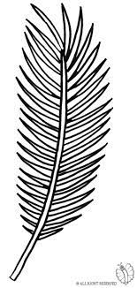 We did not find results for: Leaf Cut Out Template Novocom Top
