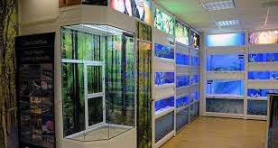 Casco Store Fixtures And Shop Fittings Shop Fittings Store Fixtures Pet Store