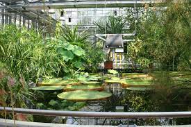 Leipzig botanical garden (3.5 hectares), (german: Sachsens Museen Entdecken Museum Botanischer Garten Der Universitat Leipzig