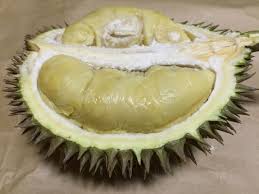 Keunikan durian terbaik ini terletak pada kualiti dan teksturnya yang lebih lembut berbanding dengan durian yang biasa dan rasanya juga berlemak serta mempunyai rasa berkrim. 11 Jenis Buah Durian Popular Dan Digemari Di Malaysia