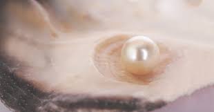 Let's try to break down how to evaluate the value. How Much Are Pearls Worth An In Depth Answer Laguna Pearl