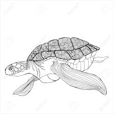 Search through 623,989 free printable colorings at getcolorings. Sea Turtle Coloring Book Hand Drawing Coloring Book For Children Royalty Free Cliparts Vectors And Stock Illustration Image 143775292