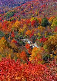 Asheville Nc Fall Foliage Color Leaf Report 2014 Fall Pictures Scenery Autumn Scenery