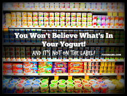 you won t believe what s in your yogurt