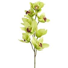 Pier 1 Imports Faux Cymbidium Orchid Stem Green Cymbidium Orchids Orchids Green Home Decor