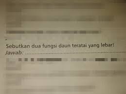 Nah walaupun teratai dapat mengapung di atas air namun akar teratai berada di bawah air dan tidak ikut serta mengapung. Apakah 2 Fungsi Daun Teratai Yg Lebar Brainly Co Id