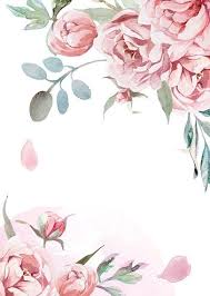 Maybe you would like to learn more about one of these? Watercolor Light Pink Rose Peonies With Gray Grass On White Watercolor Flower Background Flower Background Wallpaper Floral Poster