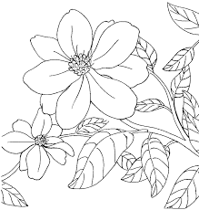 While apples aren't exactly an arkansas staple, these wonderful orchards offer something truly special. Arkansas State Flower Apple Blossom Arkansas State Symbols Coloring Pages Tree Coloring Page Bird Coloring Pages