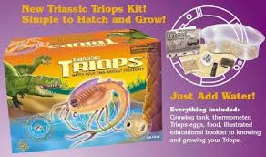 Triops Hatchery Kit