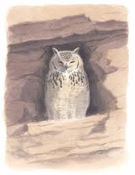 Check spelling or type a new query. Pharaoh Eagle Owl The Sound Approach