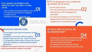 Șef serviciu asistență socială comunitară. Contact AgenÈ›ia JudeÈ›eanÄƒ Pentru PlÄƒÈ›i È™i InspecÈ›ie SocialÄƒ BuzÄƒu