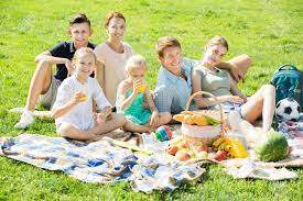 Smiling Adult Man And Woman With Four Kids Having Picnic Together On Green  Meadow In Park Stock Photo, Picture And Royalty Free Image. Image 63436439.