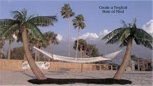 It was released at epic wonders on june 14, 2019. Custom Made Palm Trees Hammocks