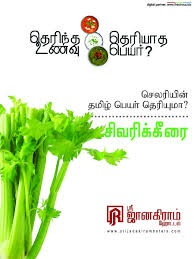 à®¤ à®° à®¨ à®¤ à®‰à®£à®µ à®¤ à®° à®¯ à®¤ à®ª à®¯à®° celary à®š à®²à®° à®© à®¨à®© à®® à®¨à®® à®® à®² à®ªà®²à®° à®• à®• à®¤ à®° à®¯ à®® à®…à®¤à®© à®¤à®® à®´ à®ª à®¯à®° à®¤ à®° à®¯ à®® celary à®š à®µà®° à®• à®• à®° sri herbs vegetables names à®¤ à®° à®¨ à®¤ à®‰à®£à®µ à®¤ à®° à®¯ à®¤ à®ª à®¯à®°