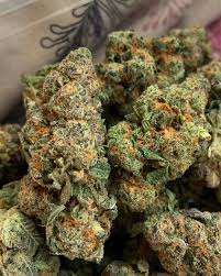This strain delivers effects that feel like a jarring dose of euphoria and relaxation. Strain Review Monster Cookies By Greenpoint Seeds The Highest Critic