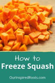 How To Freeze Squash And Other Preservation Methods In 2020 Freezing Squash Winter Squash Recipes Frozen Butternut Squash