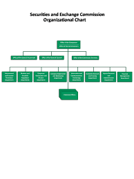 50 studious distributor organizational chart